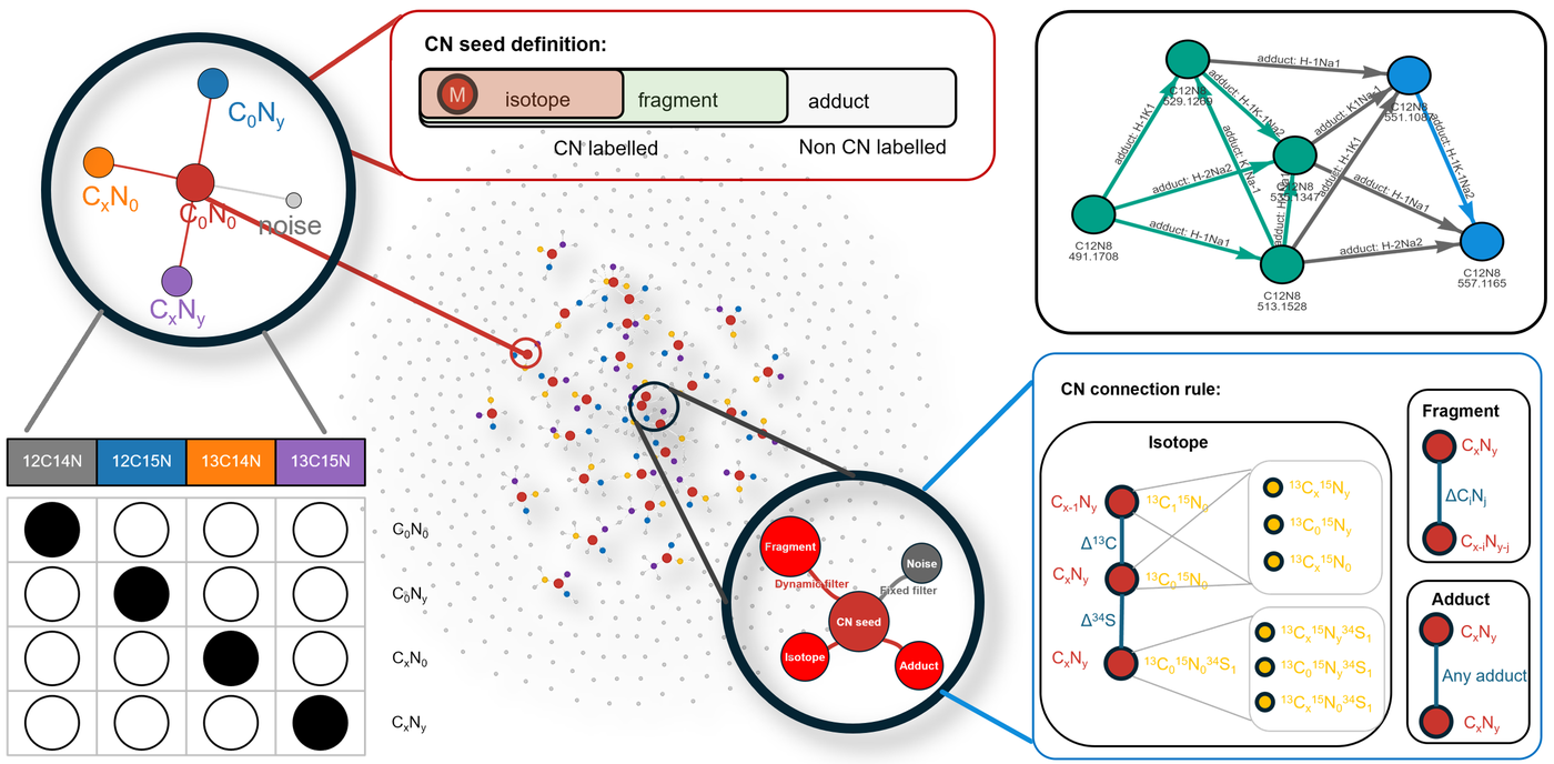 Graphical abstract of TRACE: isotope-confirmed peaks seed a peak–peak network; isotopic dilution maps carbon and nitrogen fate under nutrient competition.