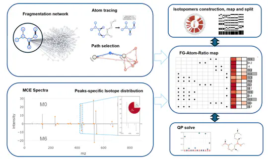 Mass Spectrometry based Isotopomer Parsing